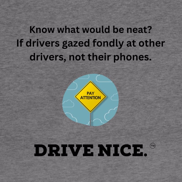 Drive nice, pay attention to others by TraciJ